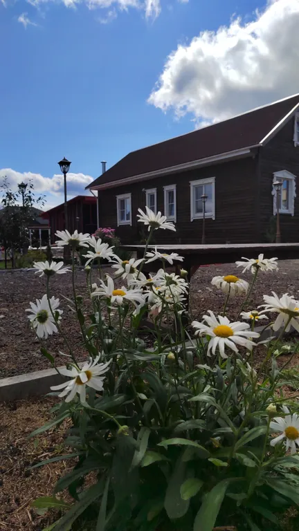 Дом Охотника на Новгородчине