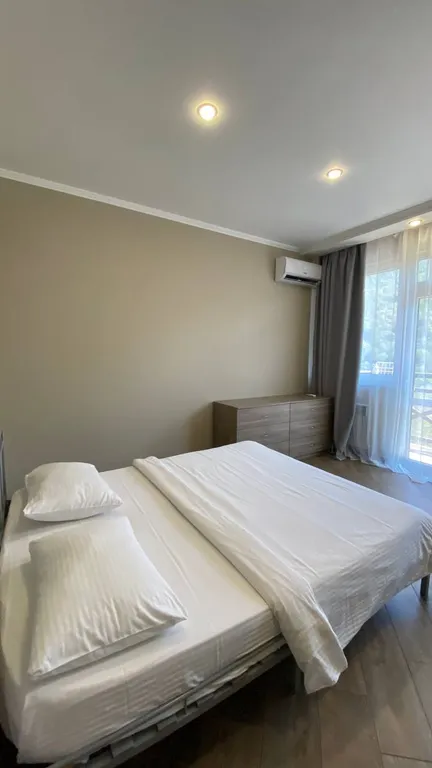 Евродвухкомнатный апартамент с балконом и видом на пик Аибга