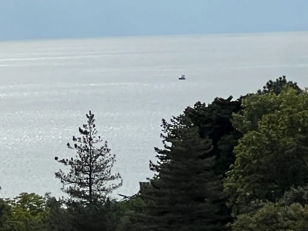 Квартира у Дендрария