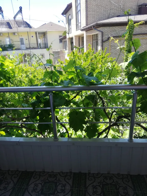 Квартира Квартира Семейный номер с мини кухней рядом с морем — Судак