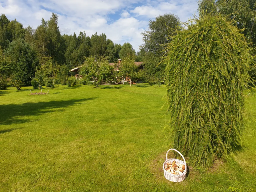 Дом в лесу у озера со всеми удобствами