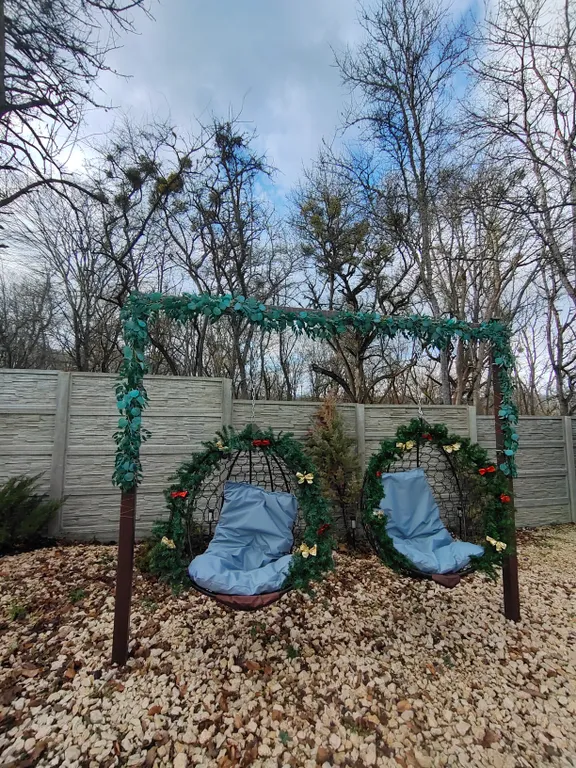 Дом возле леса