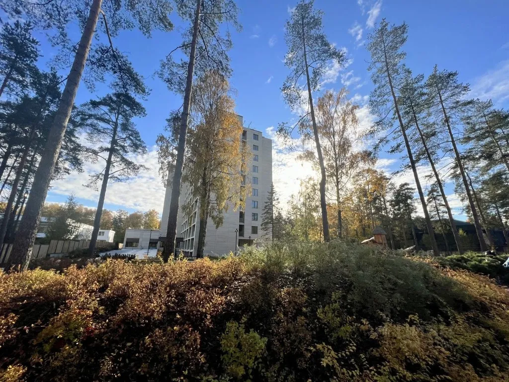 Белая студия-кинотеатр