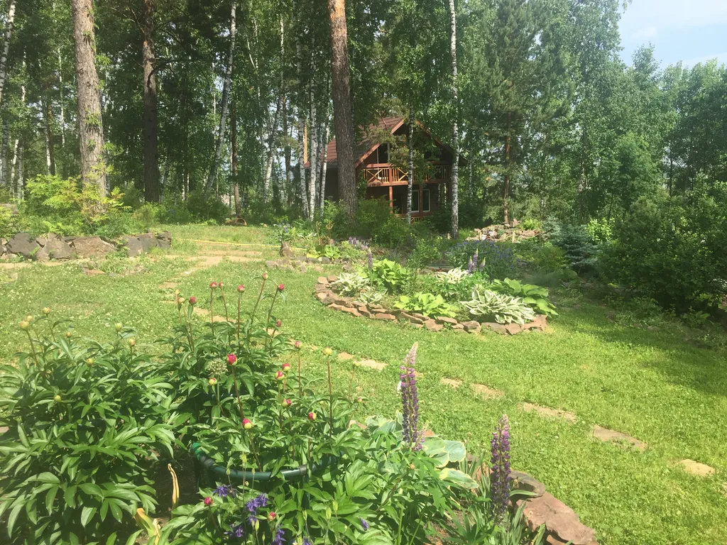 Сказочный дом в лесу