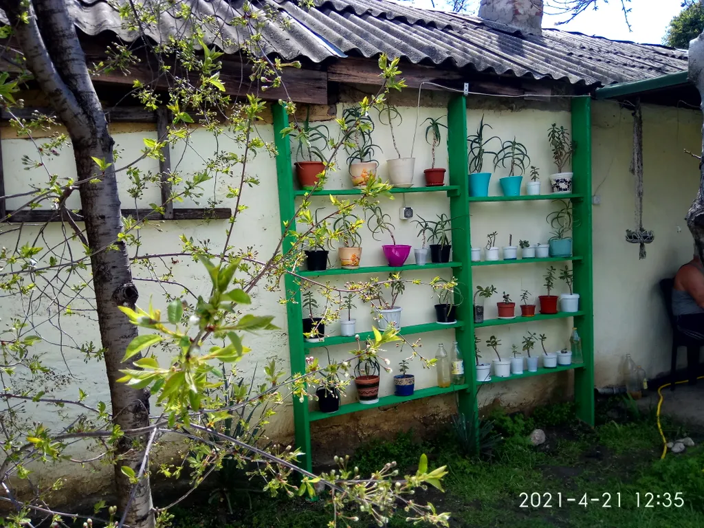 Светлая комната с видом на осенний сад