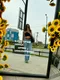 Алёна
