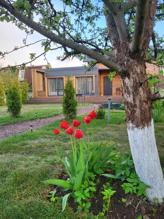 Стильный дом у озера Разлив