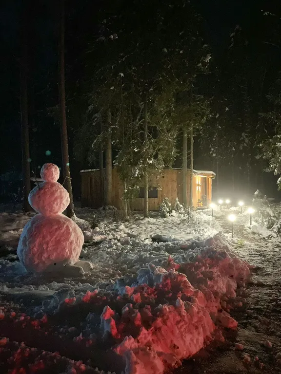 Коттедж Домик в лесу у озера для семейного отдыха — Турбаза Чайка