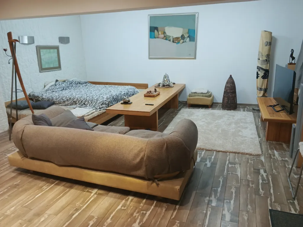 Дзен-апартаменты