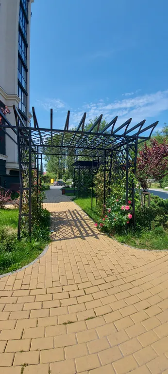 Лес и море рядом