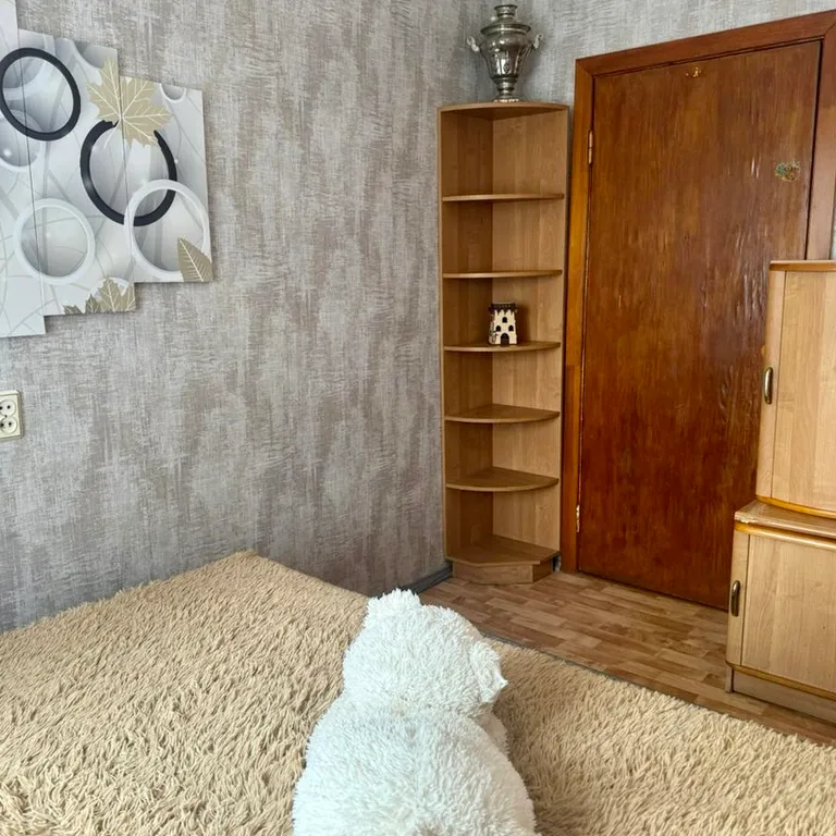 4-комнатная уютная квартира