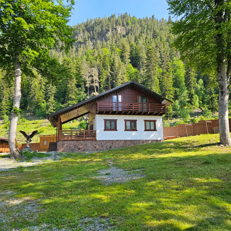 Двухэтажный коттедж в скандинавском стиле Орлиное поместье