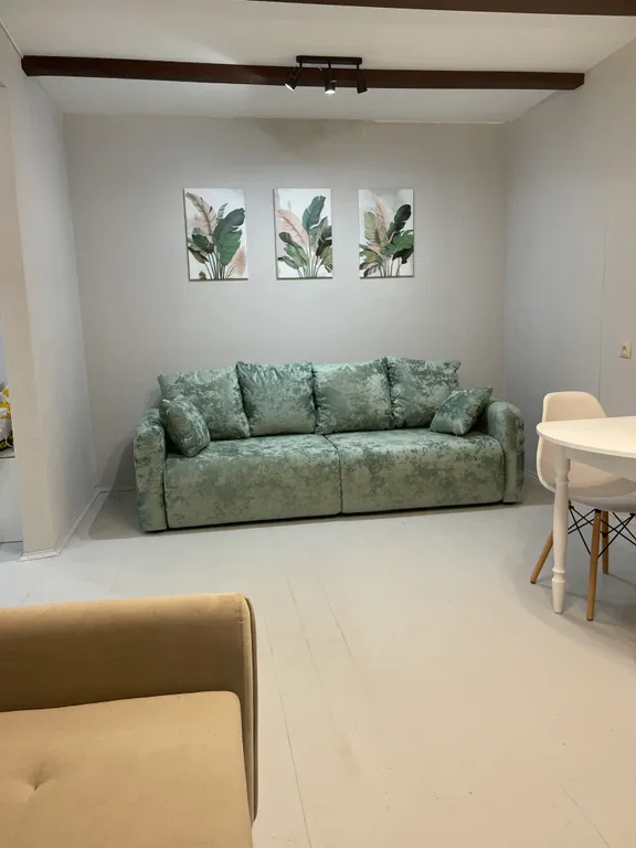 Квартира в скандинавском стиле — аренда посуточно в Псков