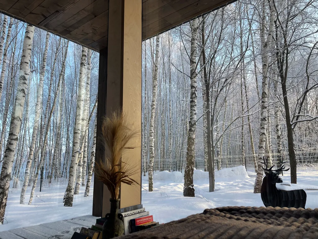 Самый уютный дом с панорамным остеклением в березовом лесу