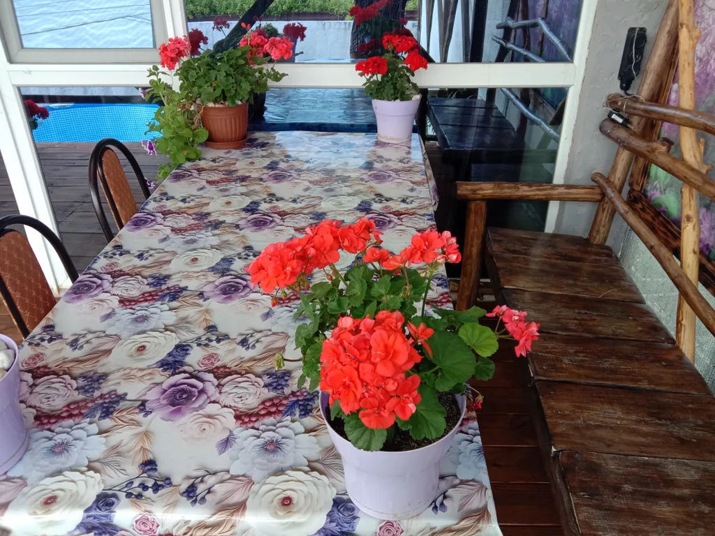 Этаж с видом на море, лес и горы