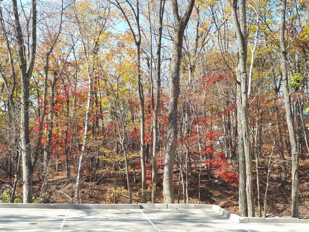 Апартаменты солнечные с двумя балконами