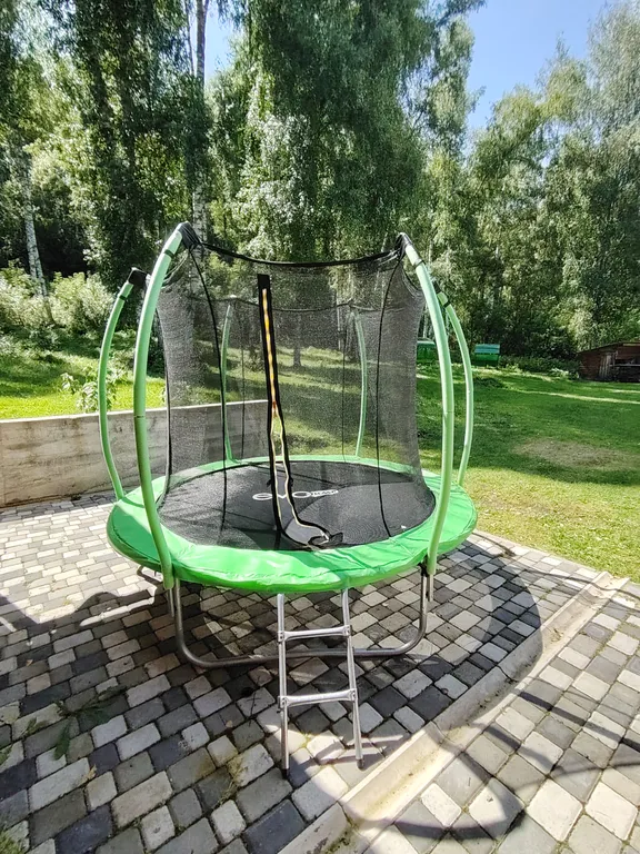 Летний номер с видом на березовый лес