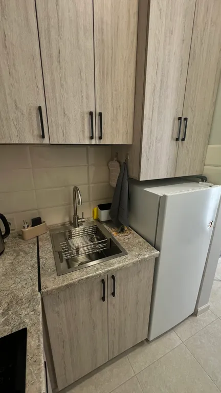 Квартира 1-комнатная Квартира — Сириус