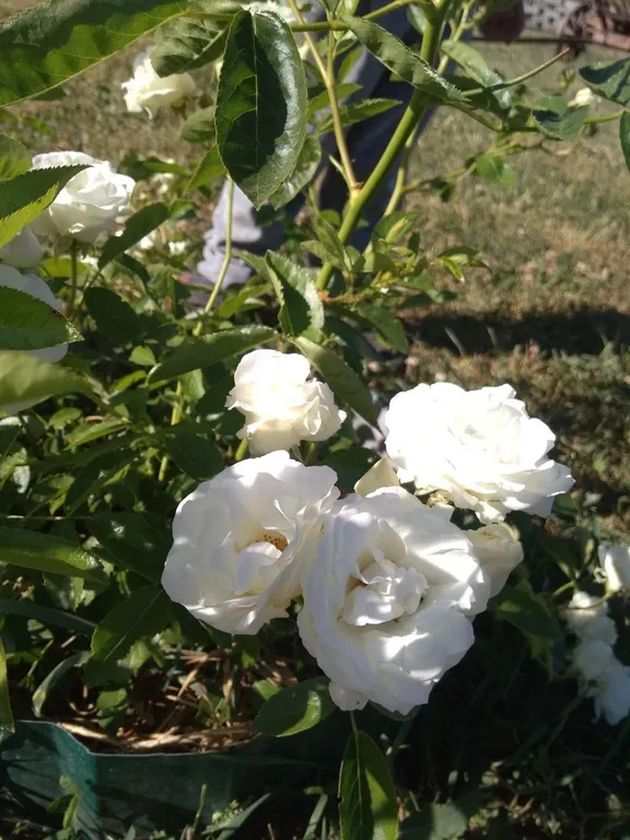 Домик для отдыха