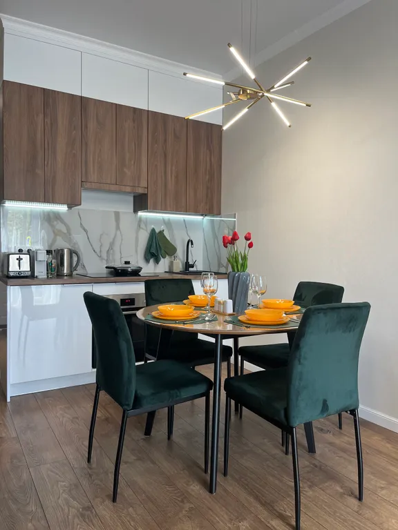 Современные апартаменты с террасой