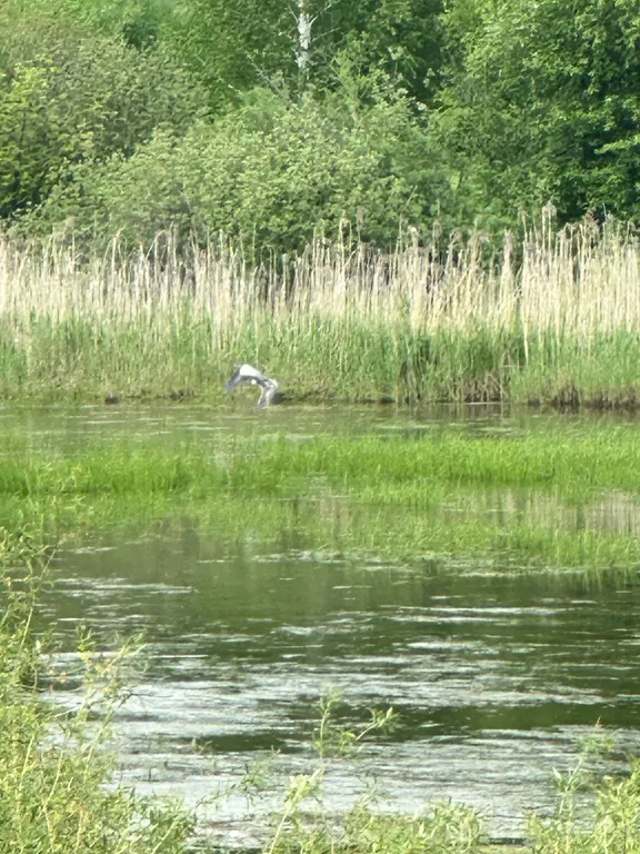 Треугольный дом A-фрейм с панорамными окнами Космос