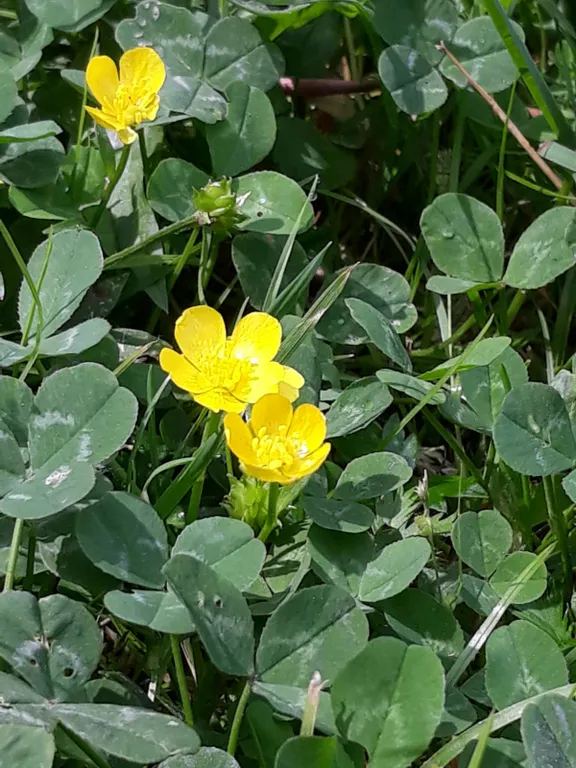 Уютная студия Как дома