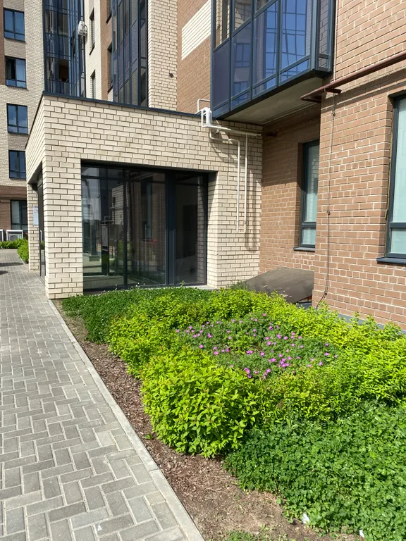 Апартаменты Лучи