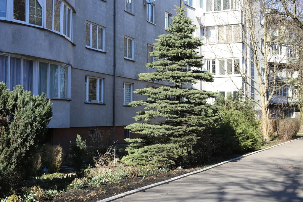 Квартира Апартаменты "Айвазовский" - оранжевое настроение в самом центре города — Калининград