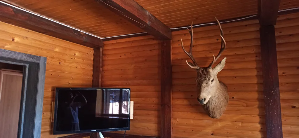 Дом с сауной, мангалом, три спальни, закрытая парковка.
 Новый год