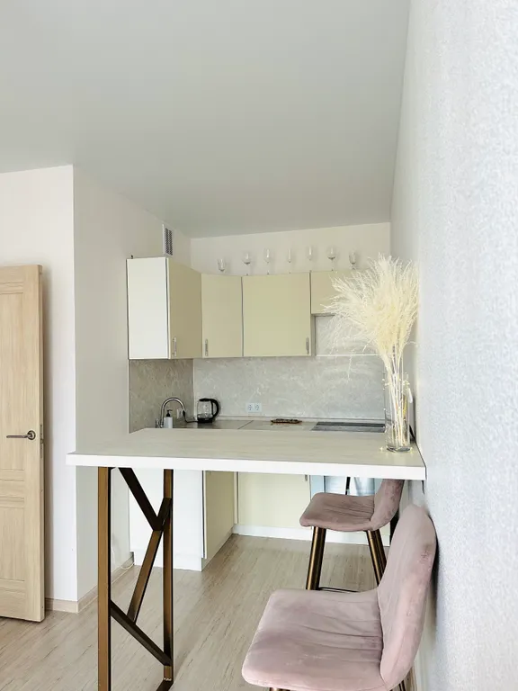 Новые современные апартаменты в ЖК Анкудиновский парк