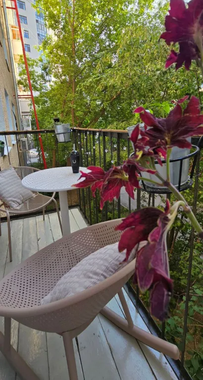 Квартира в историческом центре