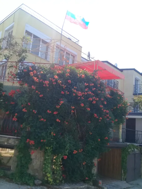 VIP коттедж у моря — аренда посуточно в Николаевка