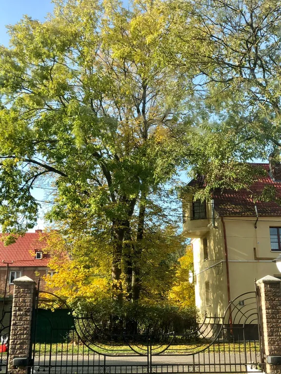 Квартира Однокомнатная квартира у моря и соснового бора — Пионерский