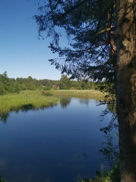 Dream Forest & River PZ