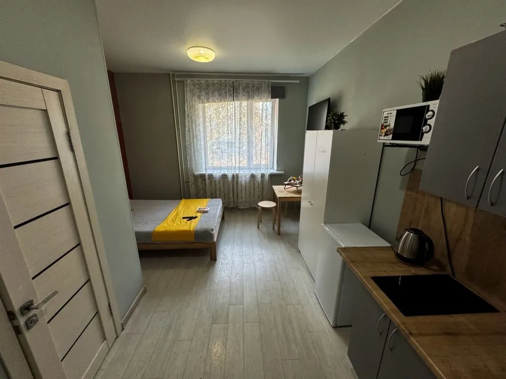 Уютная студия вблизи станции метро "Площадь Ленина"