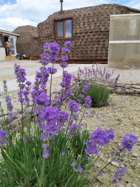 Уютный загородный дом в тихом месте