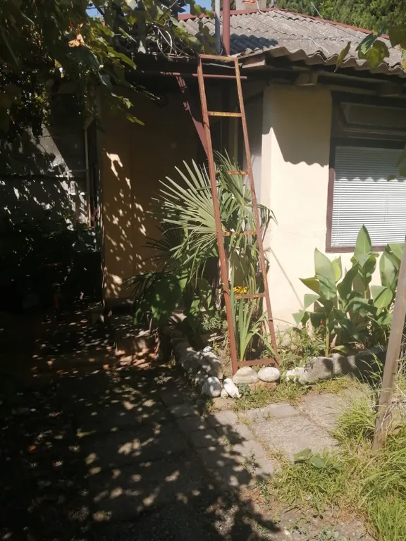 Коттедж Гостевой дом — Сочи