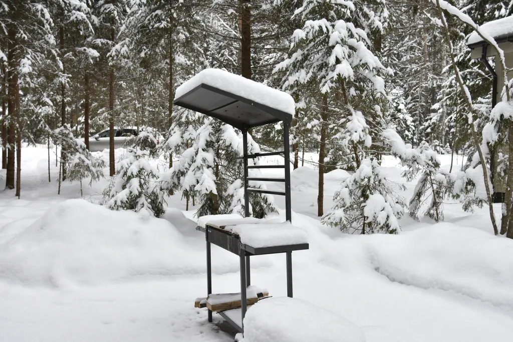 Коттедж Дизайнерский коттедж на берегу озера Волго на Селигере — Турбаза Чайка