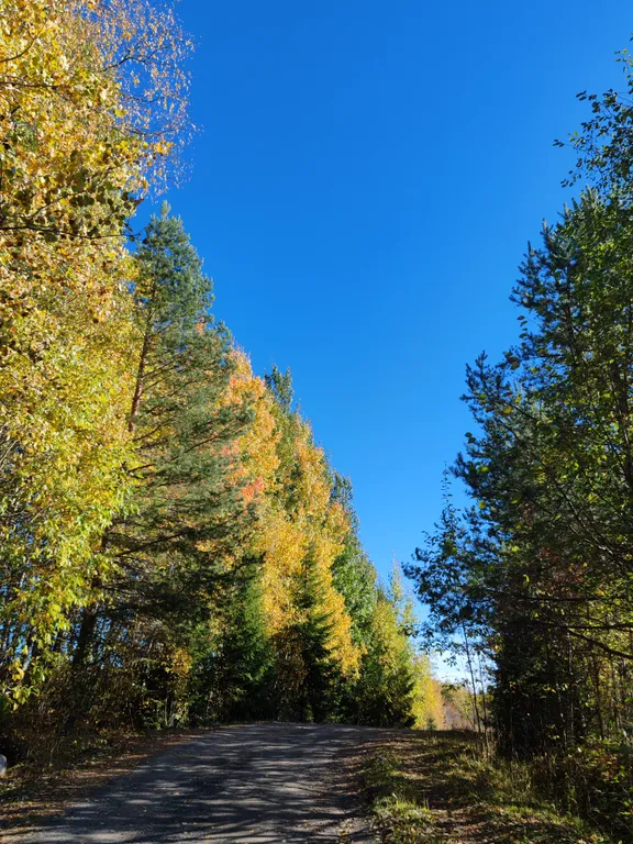 Дом Ярвиранта на берегу озера