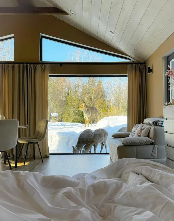 Коттедж Дом с пятнистыми оленями и кроликами в лесу — аренда посуточно в Москва