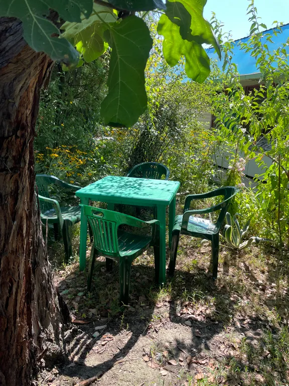 Уютный домик у красавца-эвкалипта