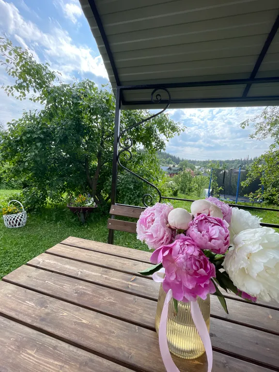 Уютный тёплый домик с банькой на дровах