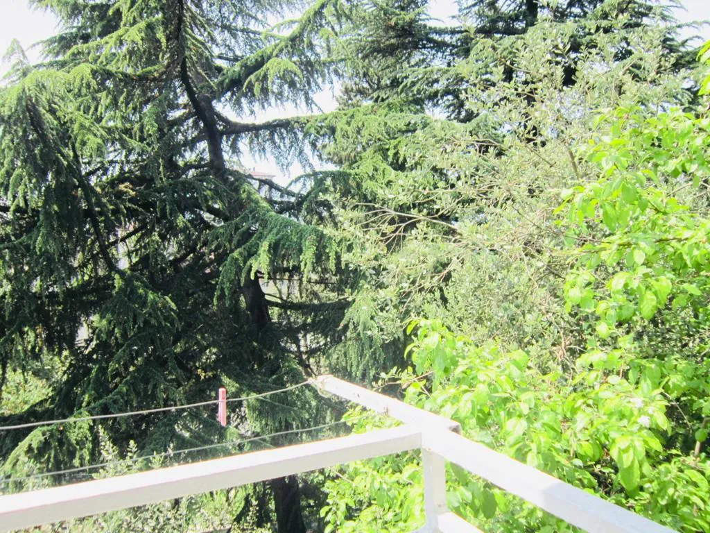 2-х местный Стандарт с удобствами