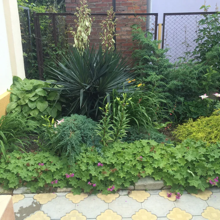 Уютный номер рядом с морем