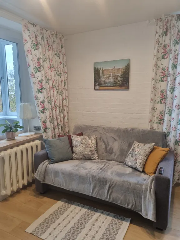 Квартира с видом на собор Святого Петра и Павла