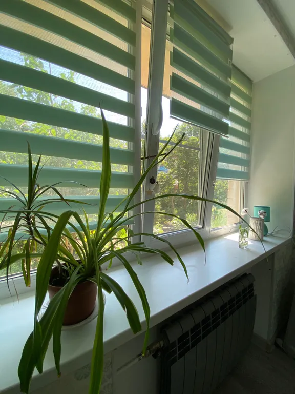 Квартира Квартира Апартамент двухкомнатный в центре Пушкина — Пушкин