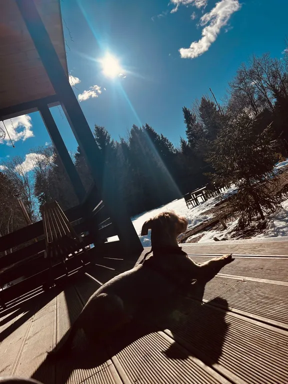 Коттедж Дом для семейного отдыха — Давыдково