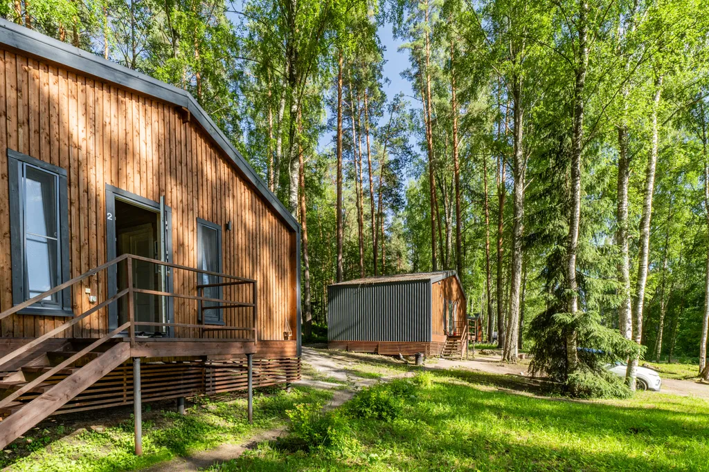 Дом с видом на лес