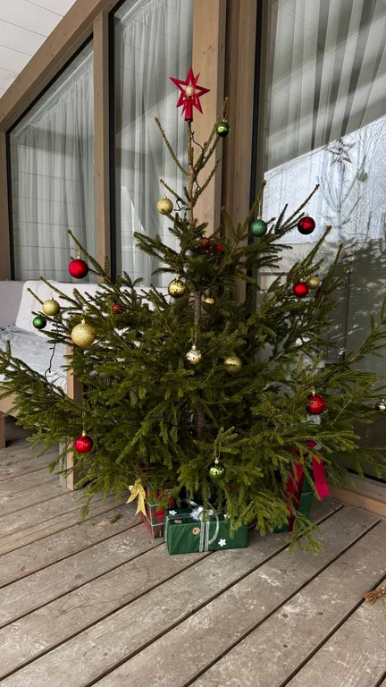 Твой любимый домик