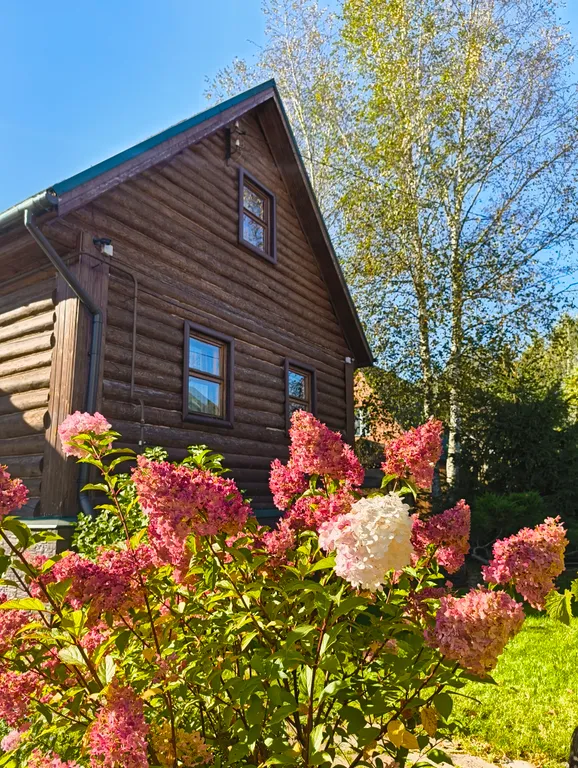 Коттедж Уютный дом с камином, с арендой сап бордов — Истра